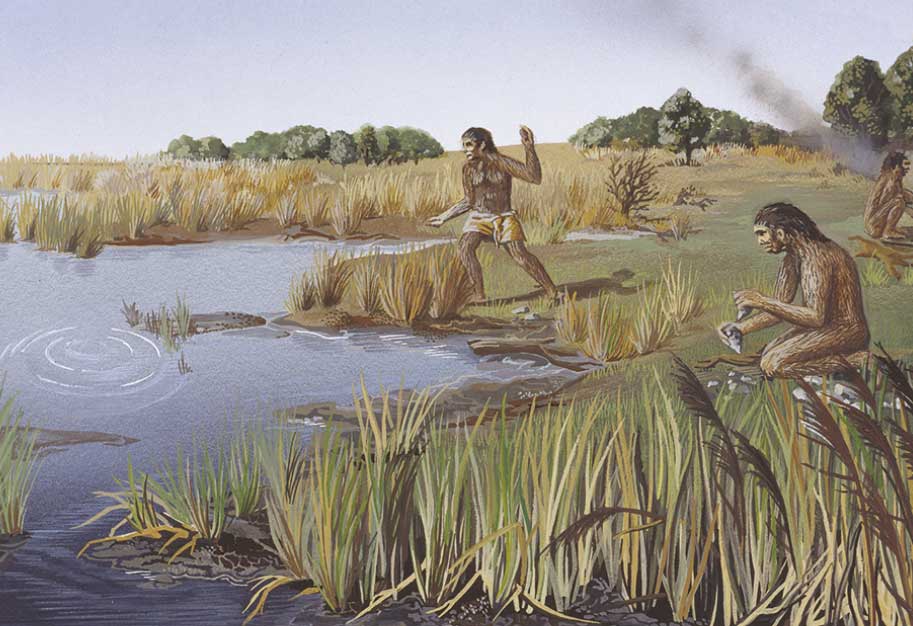 Evolution durch Bitterkeit